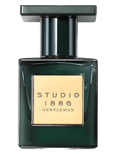 Studio 1886 Gentleman