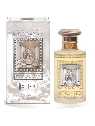 Fontana di Trevi XII