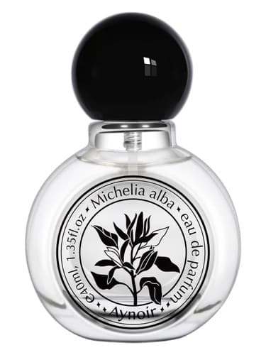 Michelia Alba 白兰