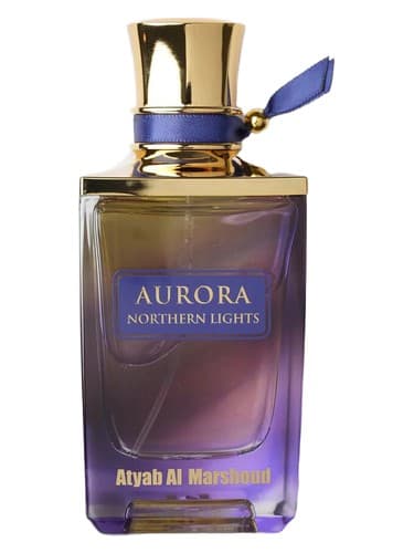 Aurora Northern Lights