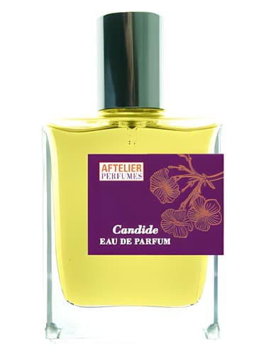 Candide