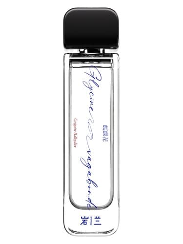 Glycine Vagabonde 蝴蝶花