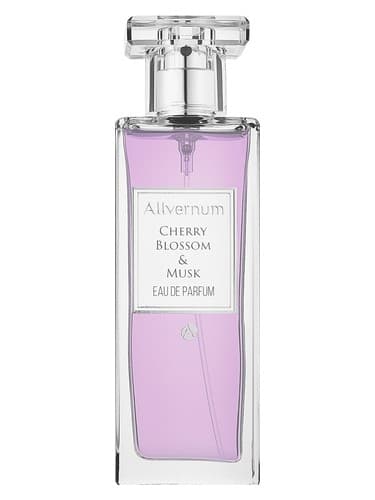 Cherry Blossom & Musk