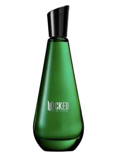 Wicked For Good – Elphaba Enchanted
