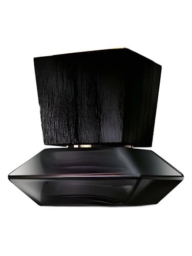 Private Collection Mahonia