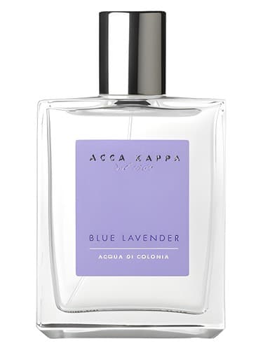 Blue Lavender