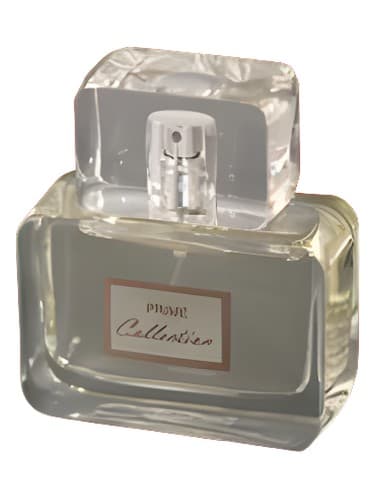 Prime Collection for Men