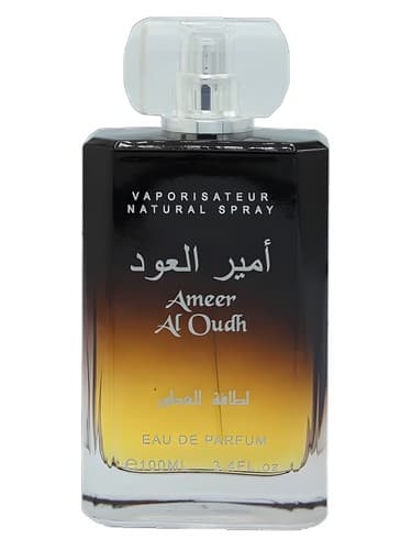 Ameer Al Oudh