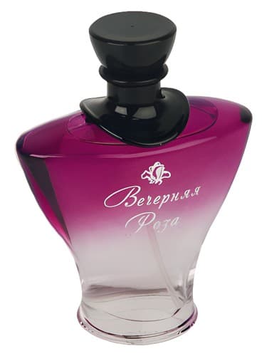 Evening Rose (Вечерняя Роза)