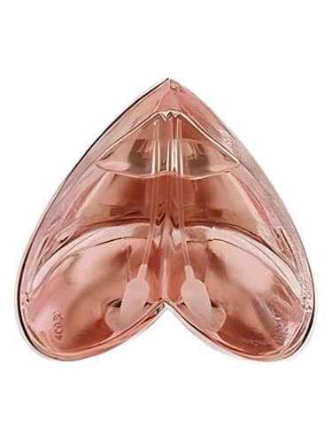 Kingdom Limited Edition