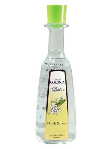 Clásica flor de Naranja