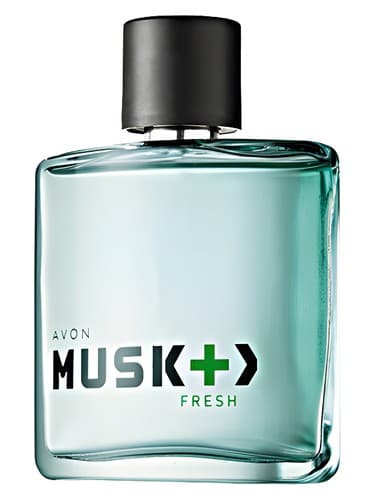 Musk + > Fresh