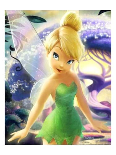 Disney Fairies