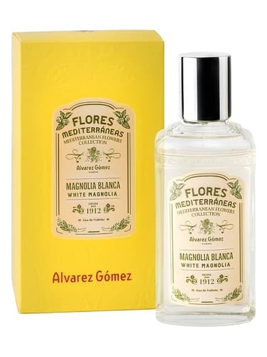 Magnolia Blanca (White Magnolia)