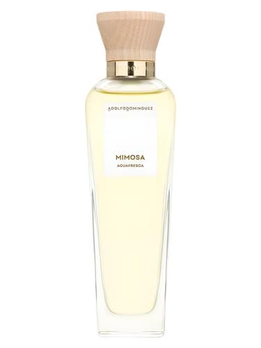 Agua Fresca de Mimosa Coriandro