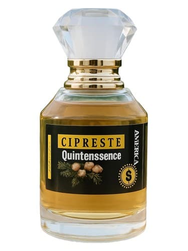 Cipreste Quintessence