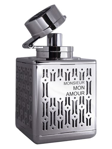 Monsieur mon Amour