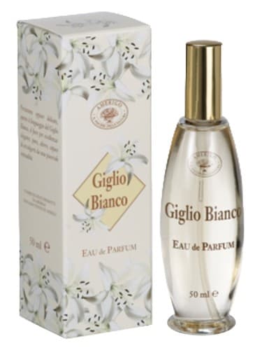 Giglio Bianco