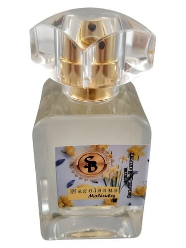 Narcissus Molécules