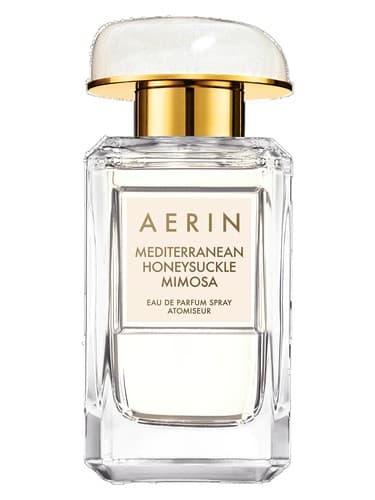 Mediterranean Honeysuckle Mimosa