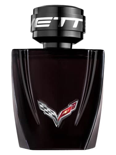 Corvette Night Drive