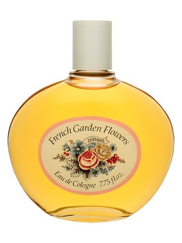 French Garden Flowers Jasmine