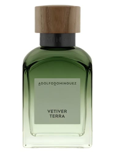 Vetiver Terra