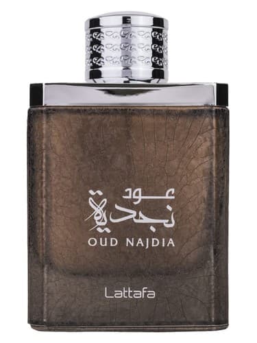 Oud Najdia