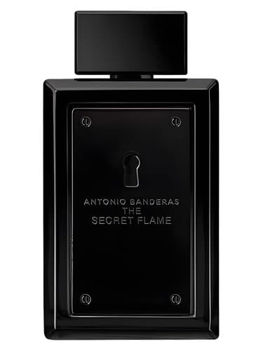 The Secret Flame