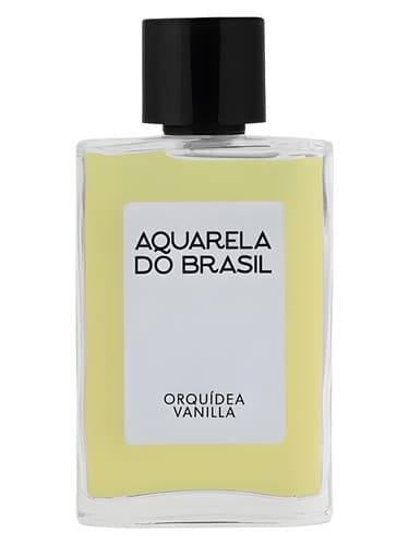 Orquídea Vanilla