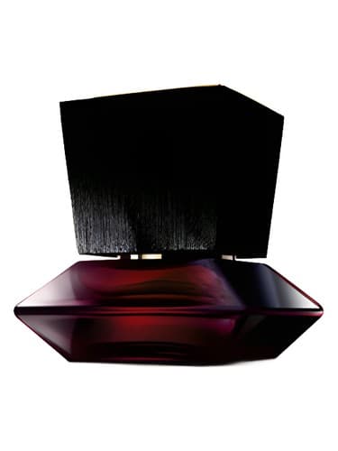 Private Collection Freesia